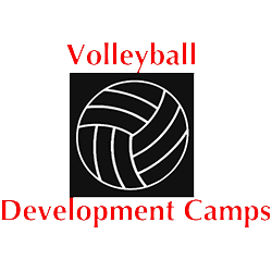 Logo of a Volleyball