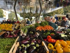 Farmers Market Florence